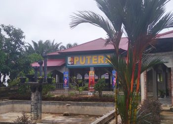 Pinang Merah, Tanaman Hias Indah di Kampus Rokania