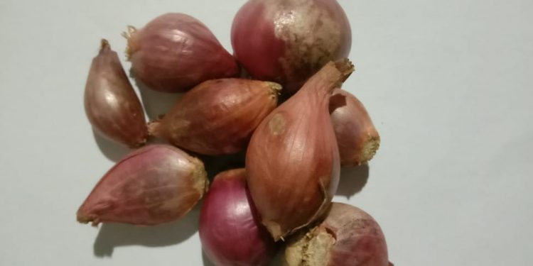 Bawang Merah