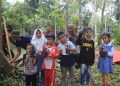 Penanaman Pohon