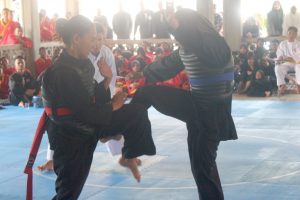 Aksi Silat