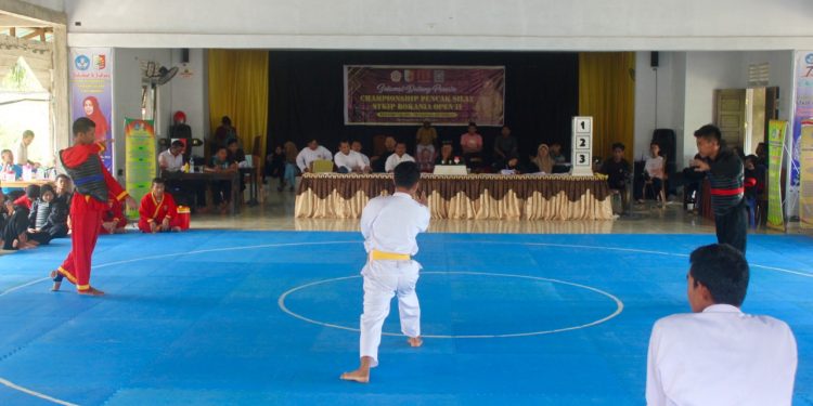 Aksi pesilat saat pembukaan