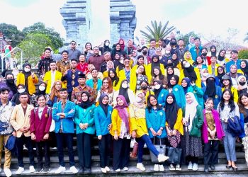 PMM 2
