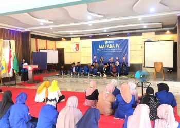 MAPABA IV