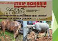 Qurban 1444H Rokania