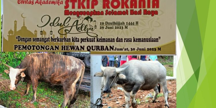 Qurban 1444H Rokania