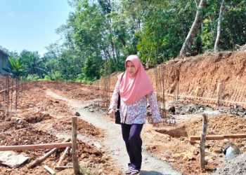 Desmelati mengawasi pembangunan