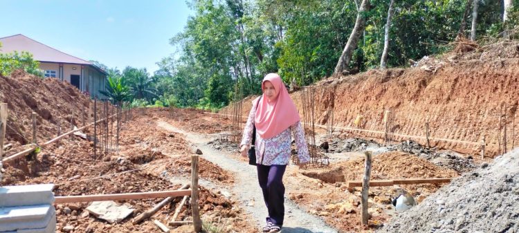 Desmelati mengawasi pembangunan