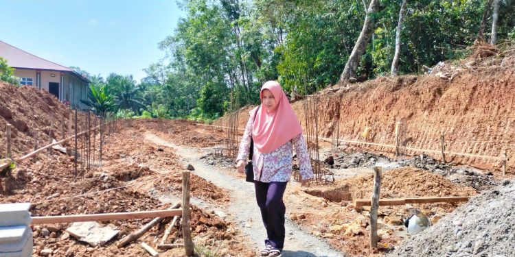 Desmelati mengawasi pembangunan
