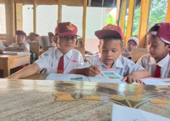 Rona Rizki Daulay