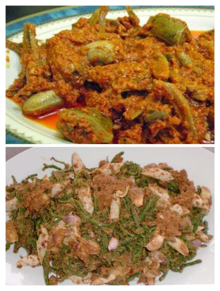 kokek dan anyang