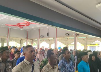 Orang Tua KIP Kuliah