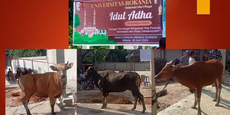 Qurban 2024