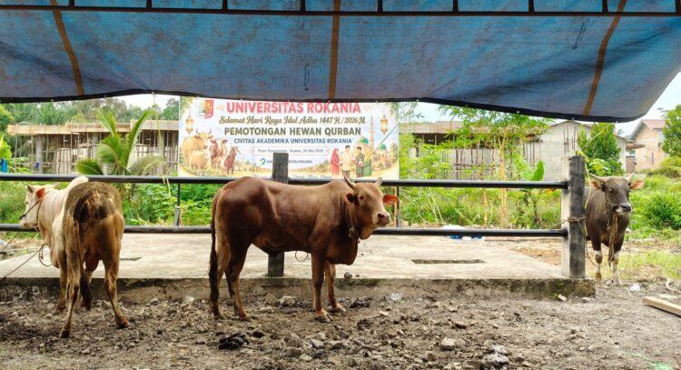 Qurban